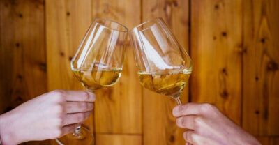 Pelješac wine tasting and local winery visit