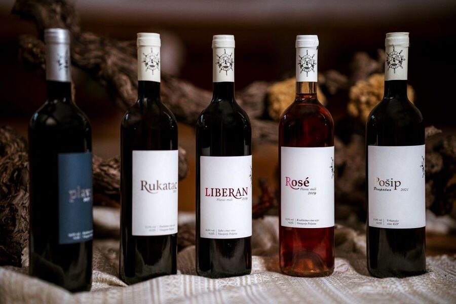 Pelješac wine tasting and local winery visit - What makes the tasting room experience feel different