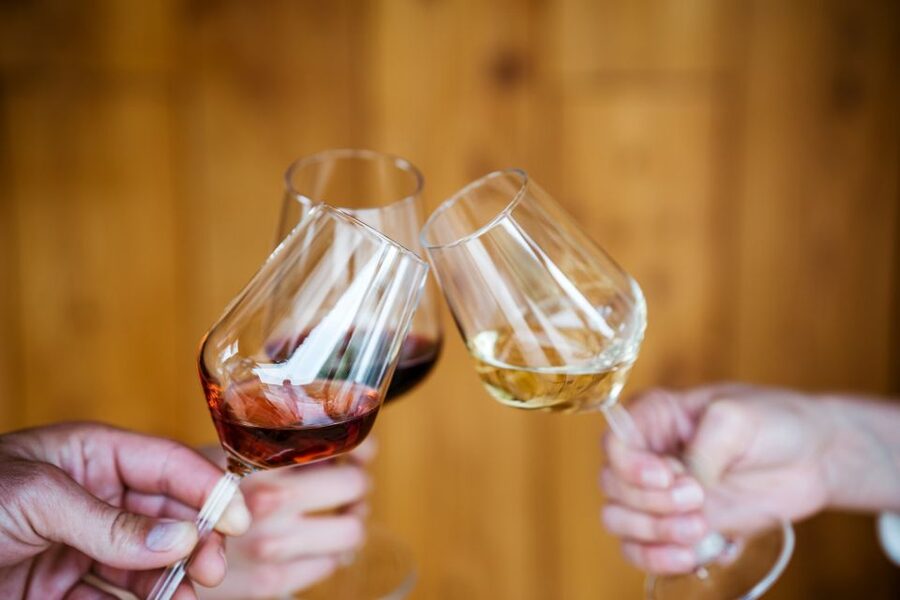 Pelješac wine tasting and local winery visit - Price and value: is $43 worth it?