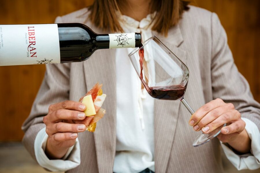 Pelješac wine tasting and local winery visit - Who this experience is best for