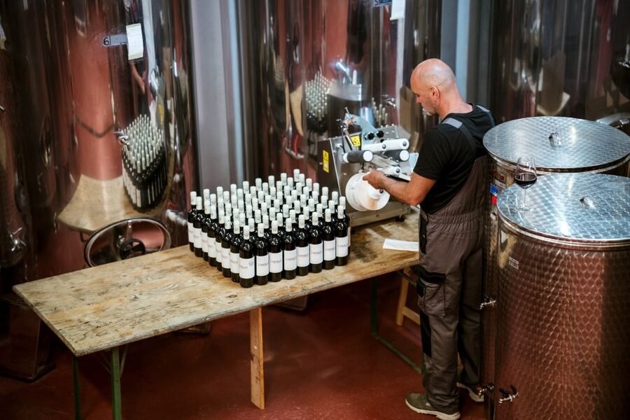 Pelješac wine tasting and local winery visit - Quick buying advice before you leave