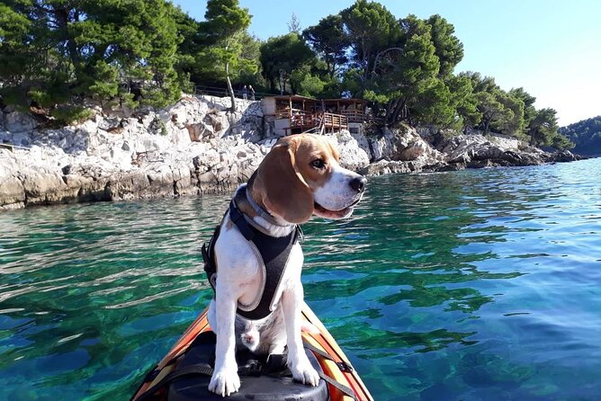 'Pomalo' Guided Sea Kayaking Tour in Cavtat - Key Things to Know Before You Paddle in Cavtat