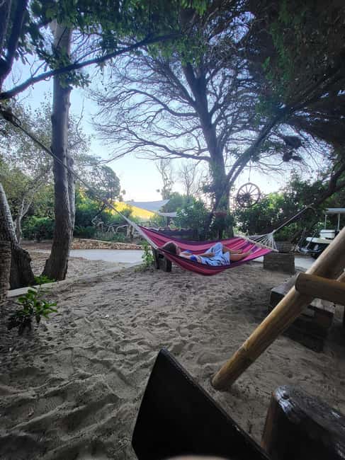 Private Boat Tour Tailor-Made 6h-All Inclusive - Why the Elaphiti Islands caves and swim stops feel worth the money