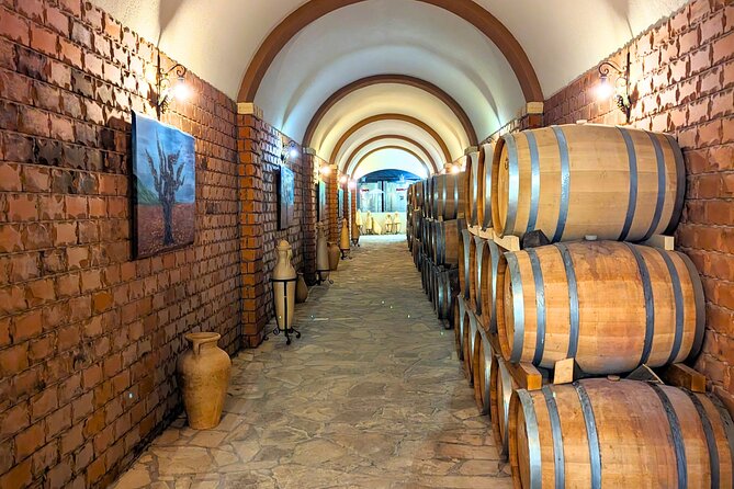 Private Full Day Peljesac Wine Tasting Tour from Dubrovnik - Peljesac Peninsula wineries: Plavac Mali, Dingac, and real winemaker stories