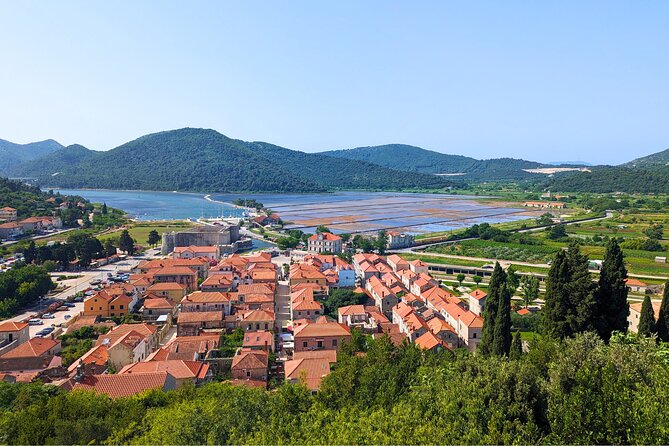 Private Full Day Peljesac Wine Tasting Tour from Dubrovnik - What the tasting menu can include, plus a few smart questions to ask