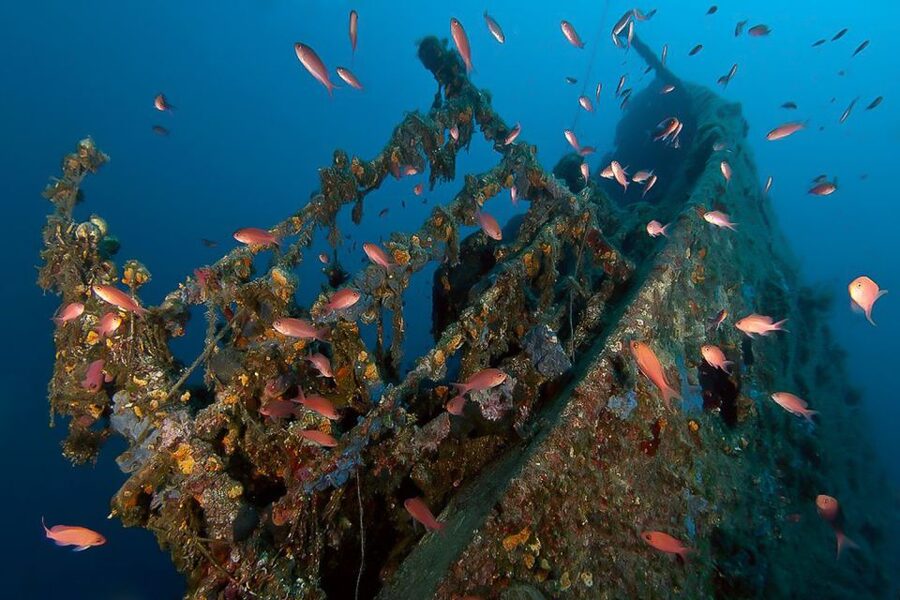 Scuba Diving in Dubrovnik: 1 Dive for Certified Divers - Scuba Off Dubrovnik: Why These Waters Are Built for Great Reefs and Wrecks