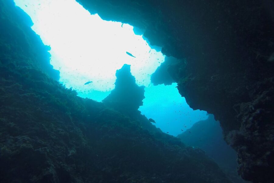 Scuba Diving in Dubrovnik: 1 Dive for Certified Divers - The 150 Minutes: How the Experience Usually Flows