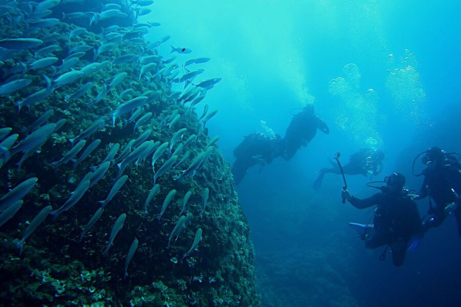 Scuba Diving in Dubrovnik: 1 Dive for Certified Divers - The Guide Factor: Why a Small Group Makes It Feel Safer and More Fun