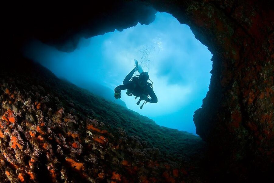 Scuba Diving in Dubrovnik: 1 Dive for Certified Divers - How Much Value Are You Getting for $94?