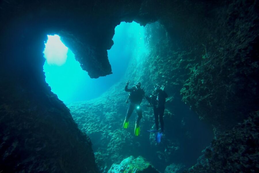 Scuba Diving in Dubrovnik: 1 Dive for Certified Divers - Meeting Blue Planet at Dubrovnik Palace, Then Getting Matched to a Site