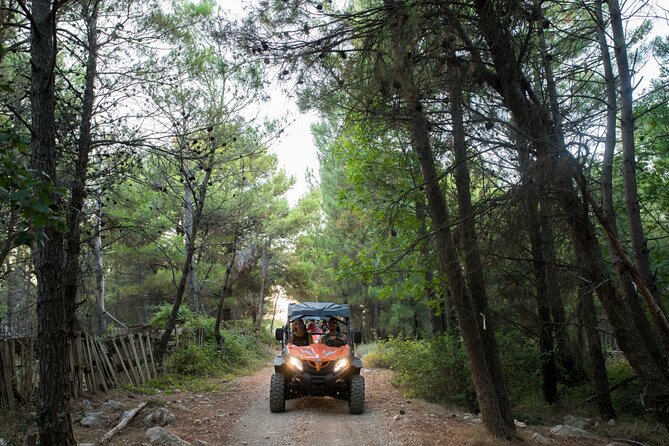 Self-drive Off Road Buggy - Price and value: why $60.47 for a short ride can still make sense