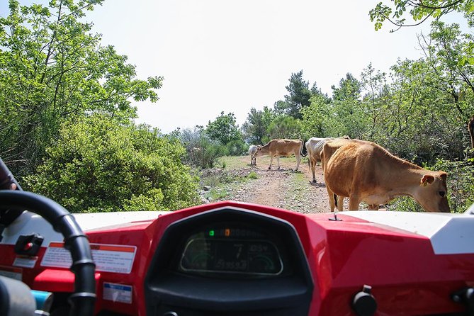 Self-drive Off Road Buggy - Who this tour fits best, and who should skip it