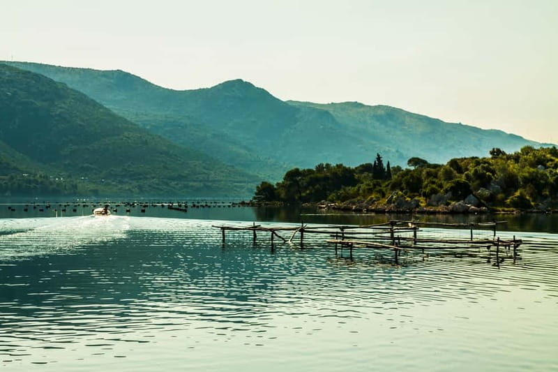 Ston Oyster & Wine Tasting Private Tour From Dubrovnik - Practical packing tips that actually matter