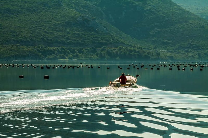 Ston Oyster & Wine Tasting Private Tour From Dubrovnik - Ston, salt, and oysters, the perfect Dubrovnik break