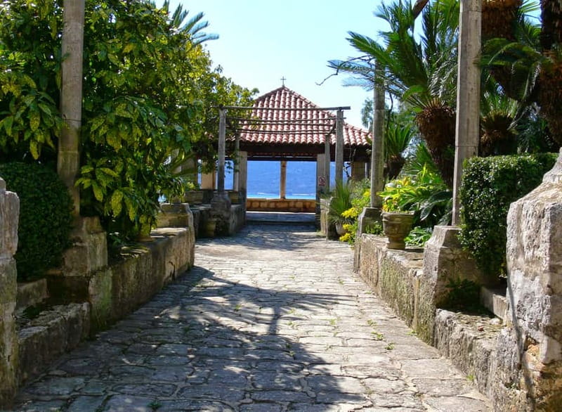 Ston Oyster & Wine Tasting Private Tour From Dubrovnik - Ostrog oysters, buzara lunch, and how to time your tasting