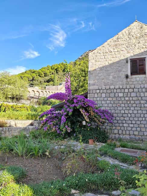 Ston private walking tour with the walls and saltworks visit - Getting the most out of the private format