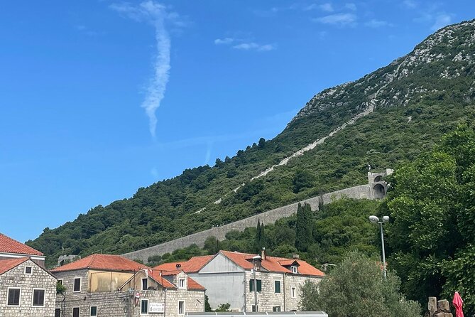 Ston Seafood & Pelješa Wine Boat Tour with Oysters and Mussels - Price and Logistics: Is $180.72 Worth It?