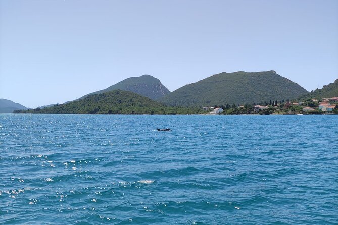 Ston Seafood & Pelješa Wine Boat Tour with Oysters and Mussels - Ston in 45 Minutes: City Walls and Salt Lakes Without the Stress