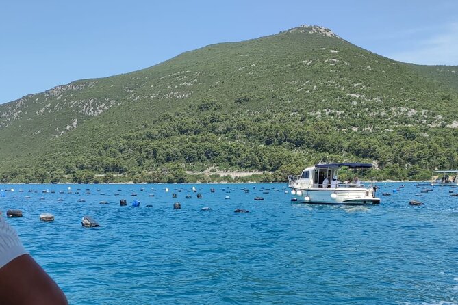 Ston Seafood & Pelješa Wine Boat Tour with Oysters and Mussels - Group Size, Comfort, and the Pace of a 5 to 6 Hour Day
