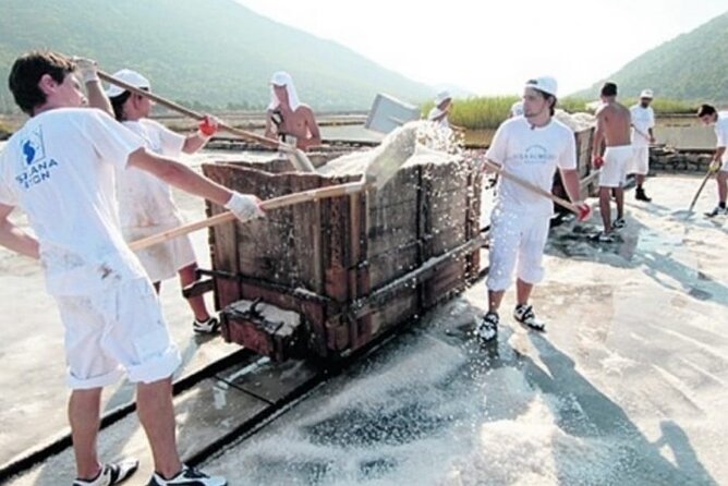 Ston Tour: City Walls, Saltworks, Wine & Adriatic Seafood - Hodilje at Ficović: daily fish and seafood in a coastal farm setting