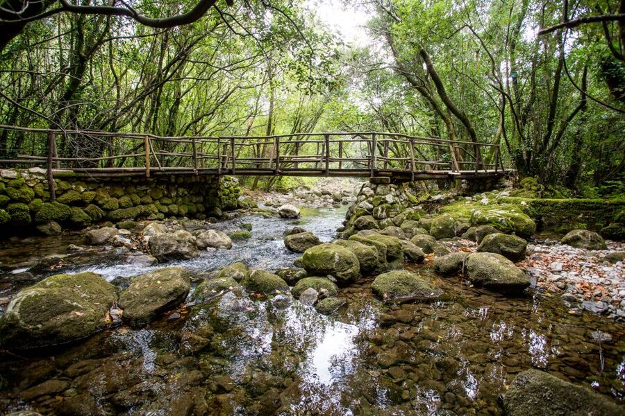 Taste & Tradition of Dubrovnik Countryside - Konavle Valley: why this food-and-craft route is worth your time