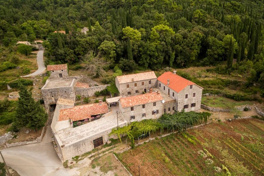 Taste & Tradition of Dubrovnik Countryside - Stop 4: Winery Brajković, wine liqueur and the final vineyard views