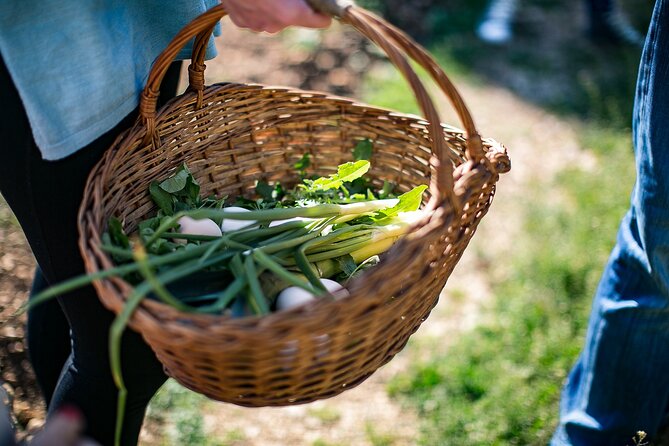 Traditional Cooking Class in Dubrovnik Countryside - Garden picking: herbs, vegetables, and the taste difference