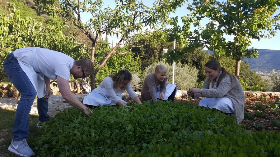 Traditional Dalmatian Cooking Class from Dubrovnik - The Garden, the Goat, and Ingredients That Change How You Cook