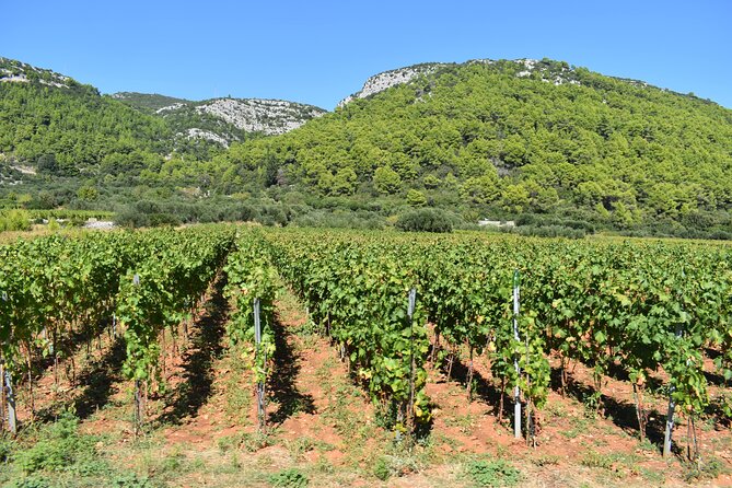 Wine & Sightseeing Tour Korcula - Key highlights worth circling