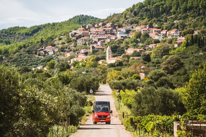 Wine & Sightseeing Tour Korcula - Price and logistics: what you pay for, and what you don’t