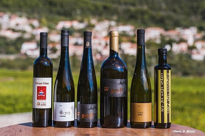 Wine & Sightseeing Tour Korcula - Included snacks and drinks: what you’ll actually be drinking on board
